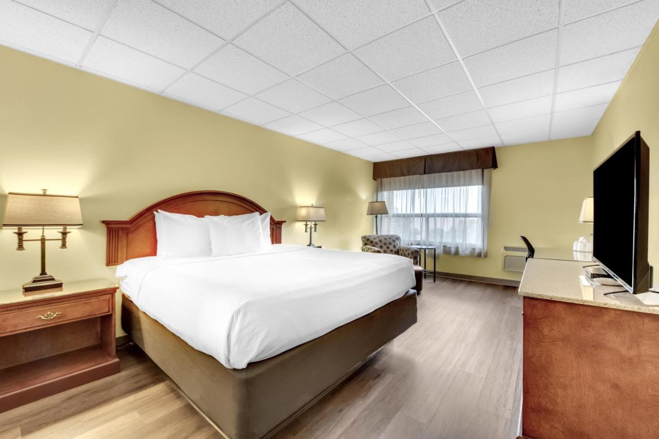 King Room Pet Friendly,1232067317:JPEG