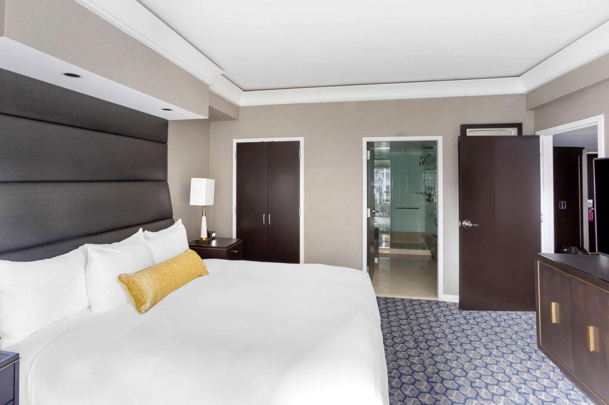 Suite King con 1 Camera da Letto e Divano-Letto