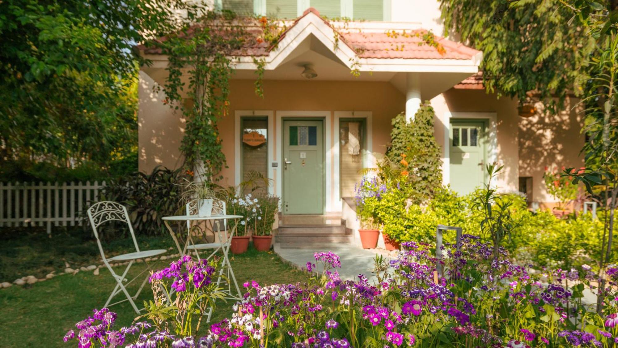 Rabbit's Burrow|1BR