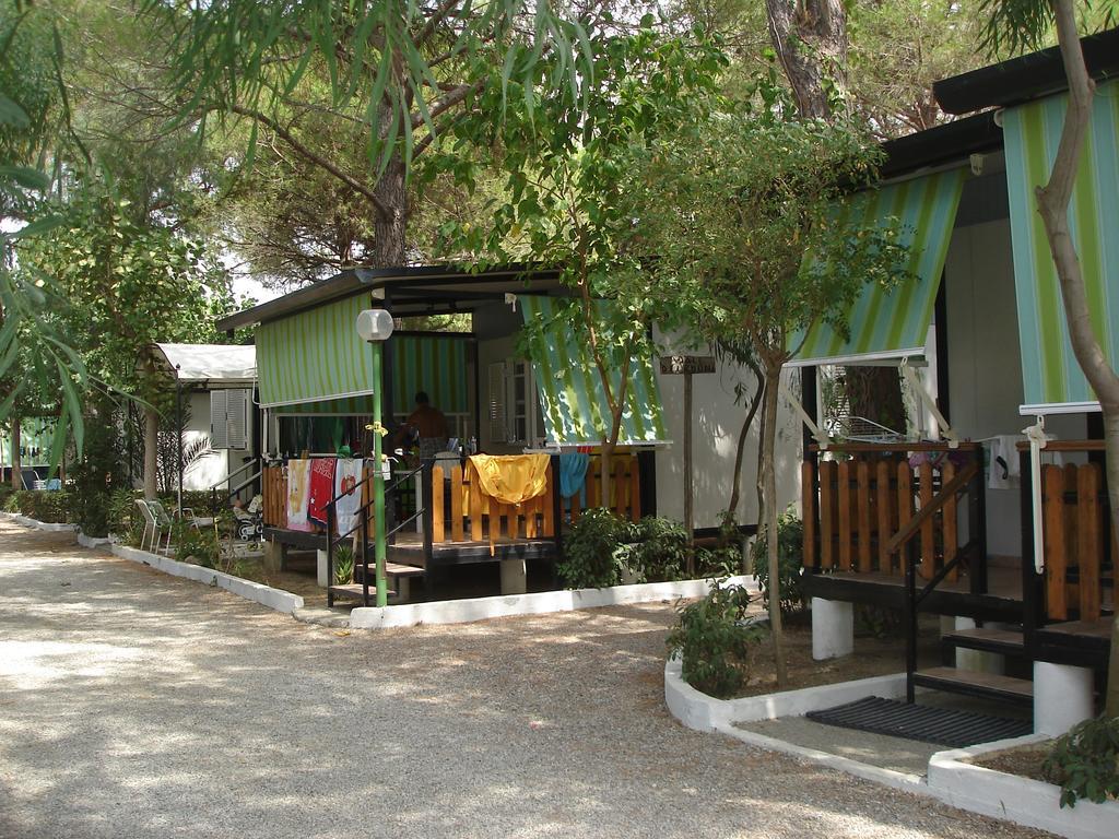 Bungalow con 2 Camere da Letto