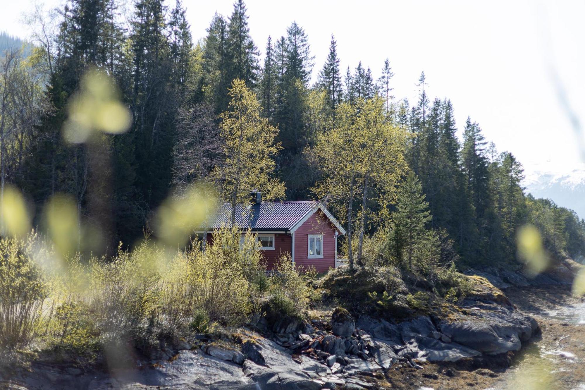 Cabin Lake View