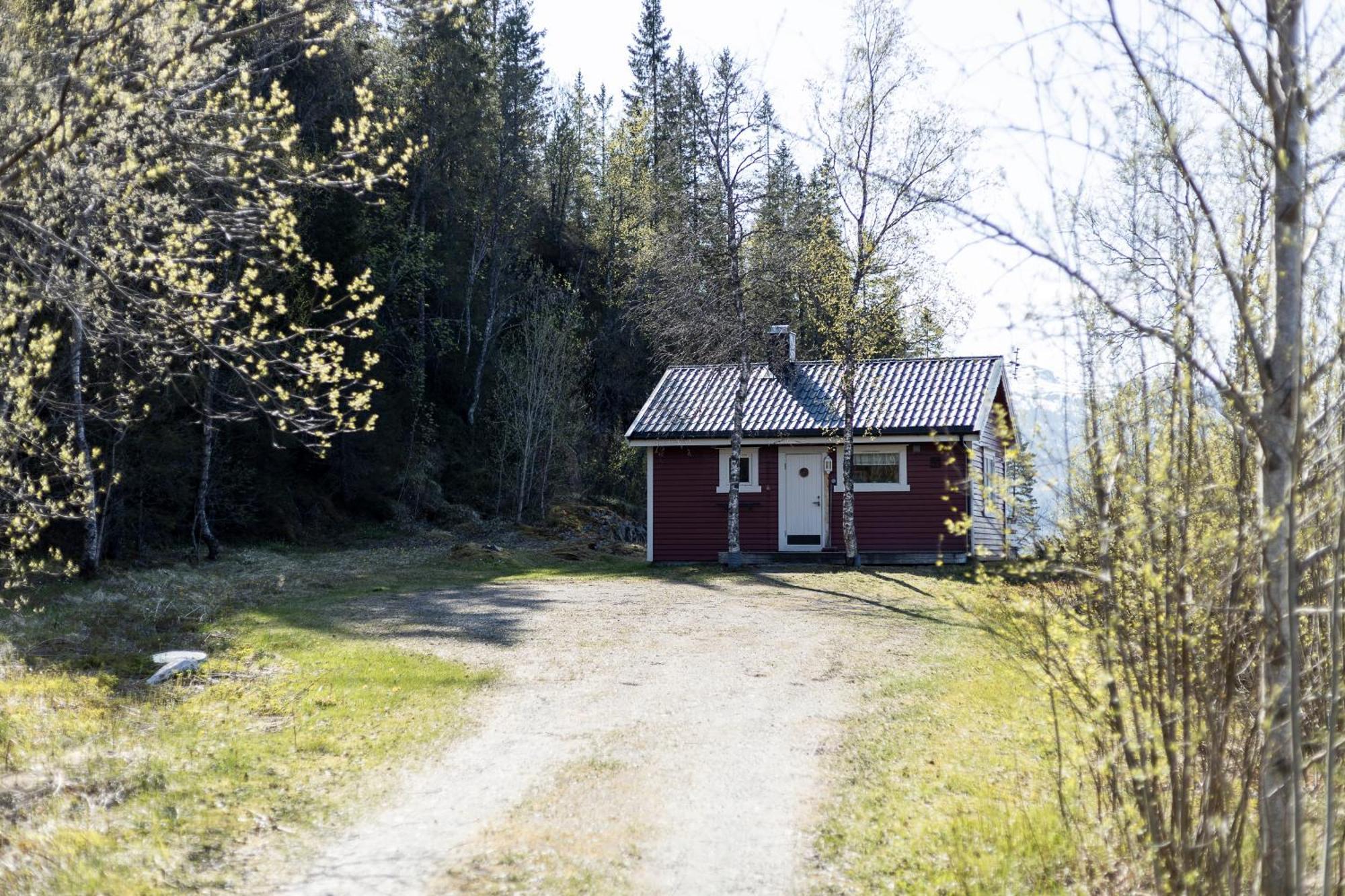 Cabin Lake View