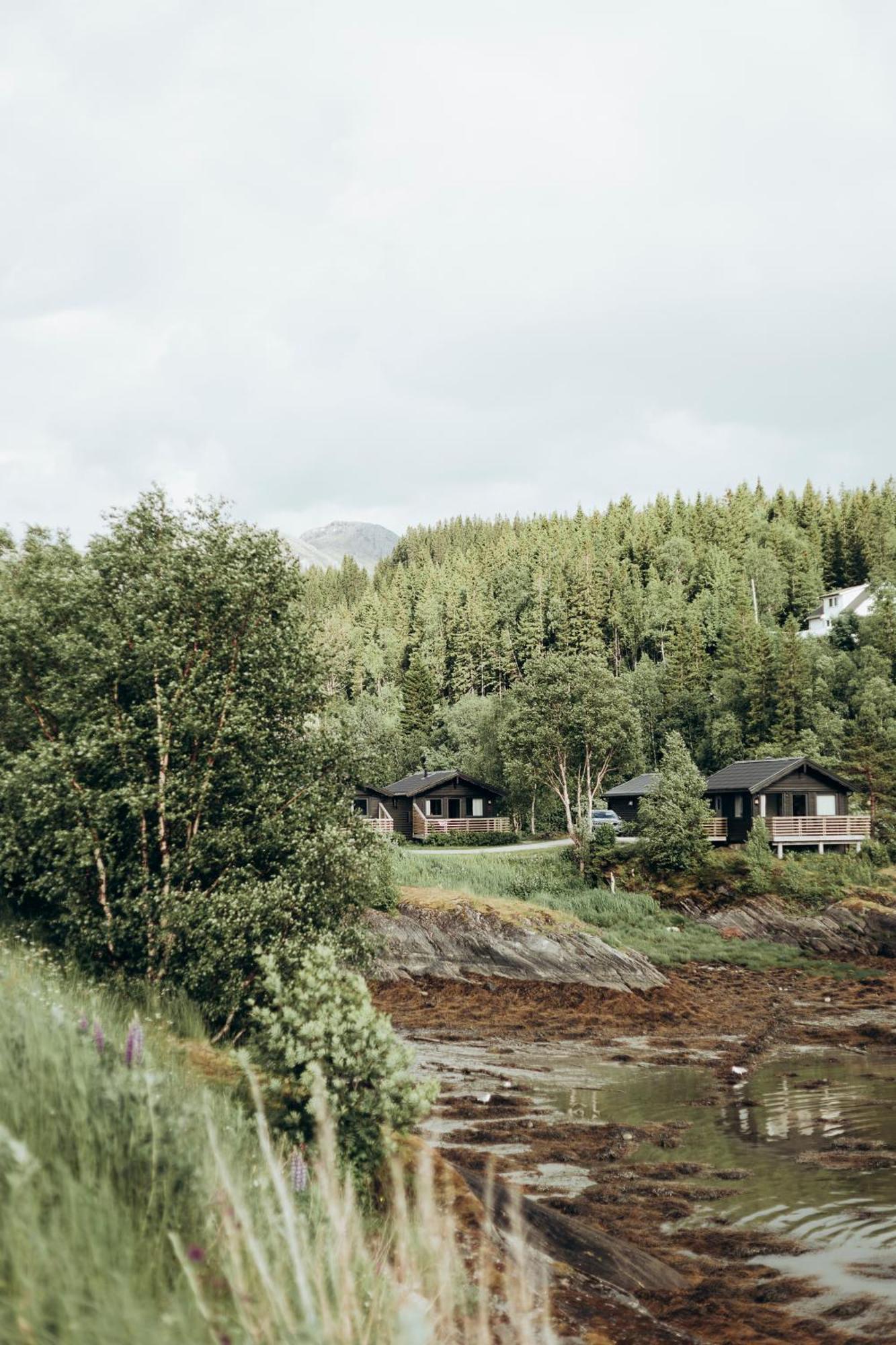 Family Cabin 4