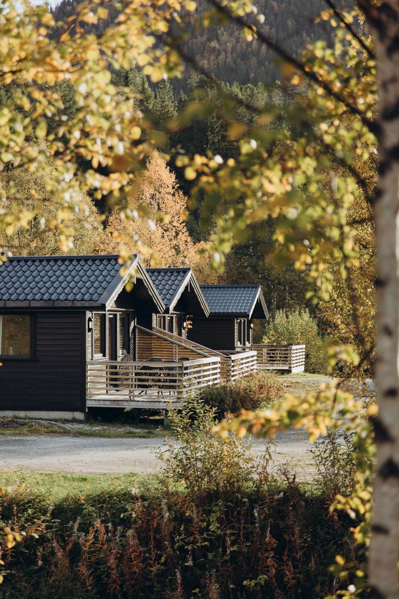 Family Cabin 4