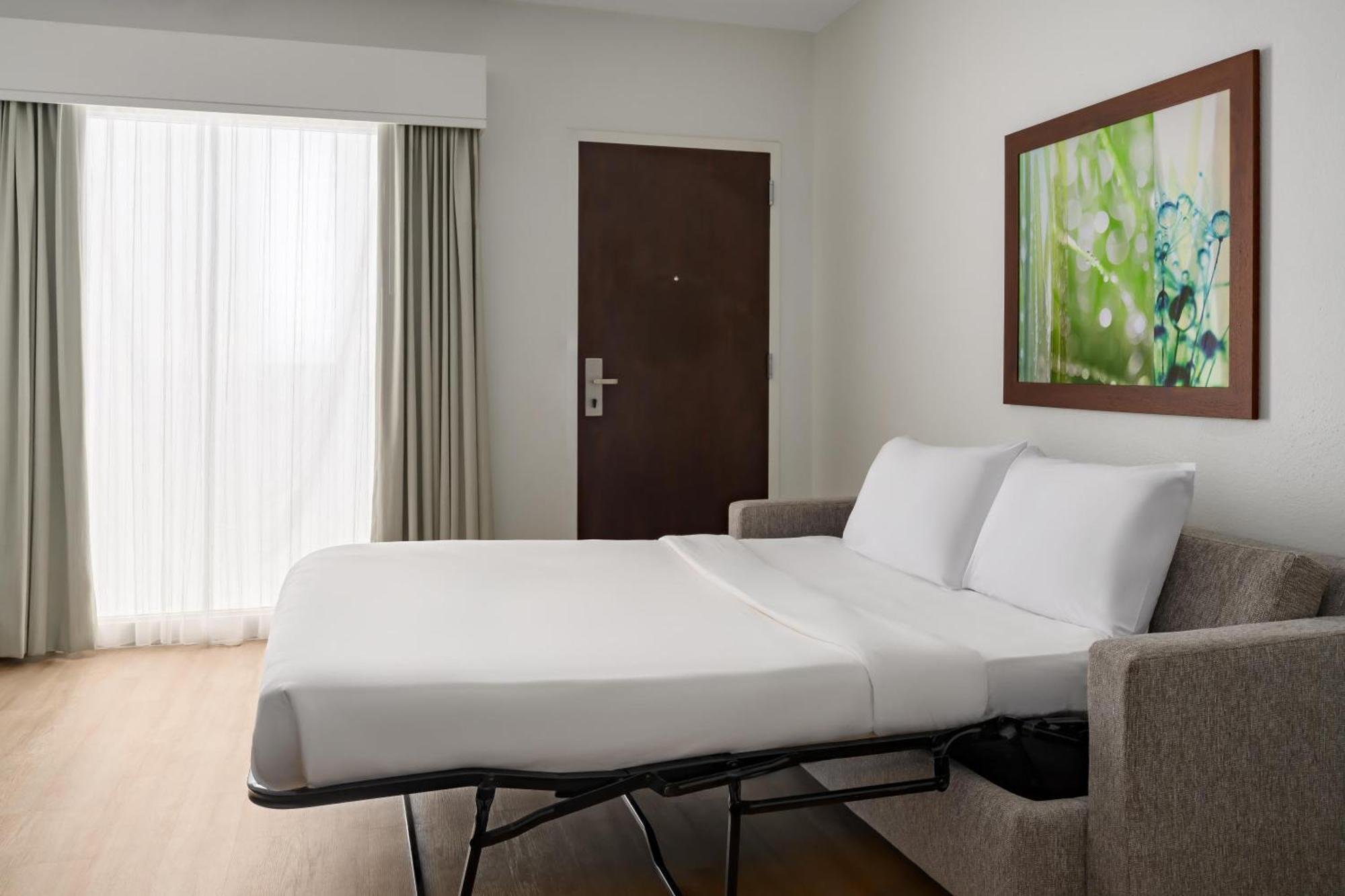 King Room with Roll-In Shower - Mobility and Hearing Access/Non-Smoking,1756511187:JPEG