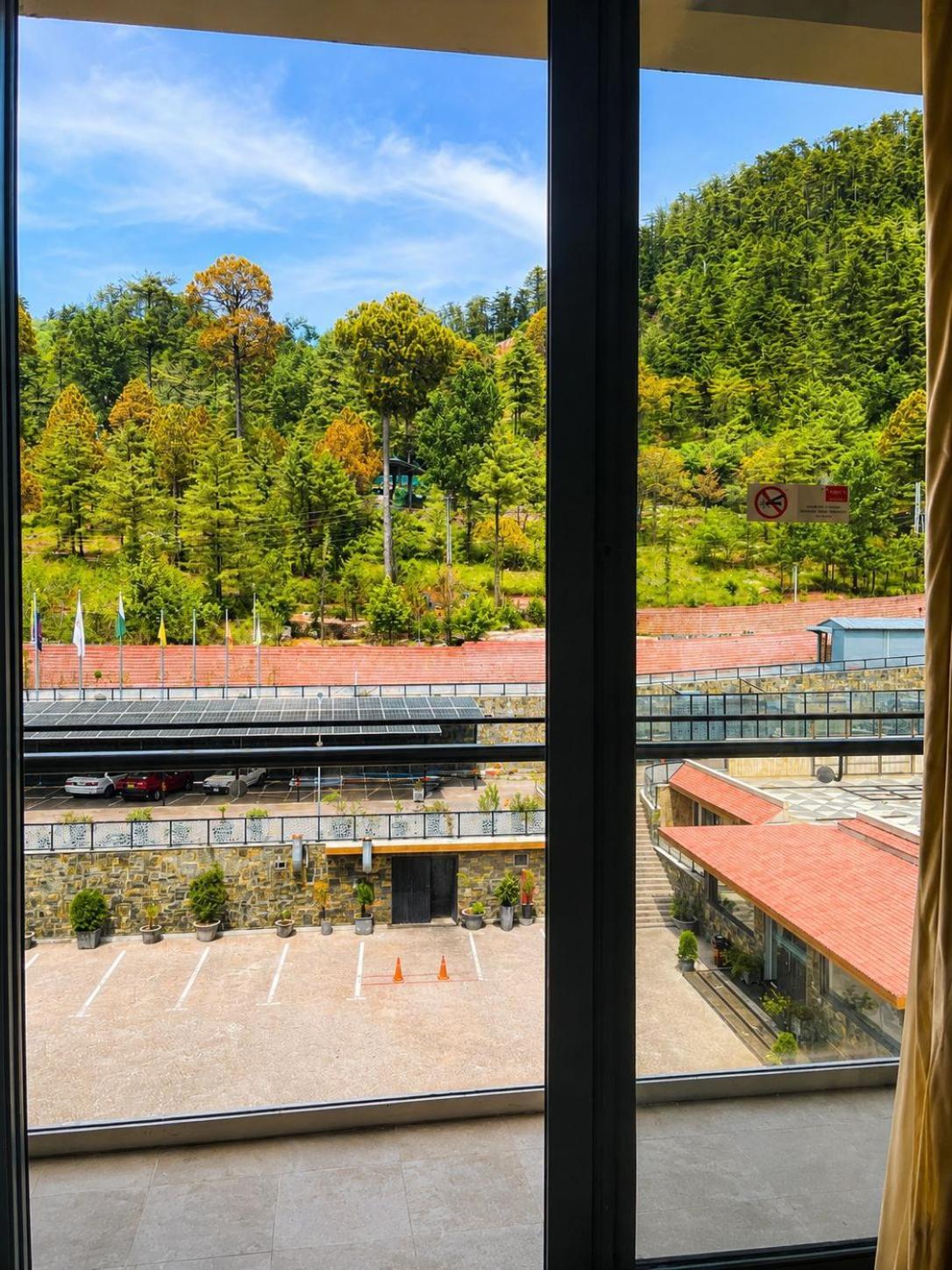 Executive King Room with Pine View