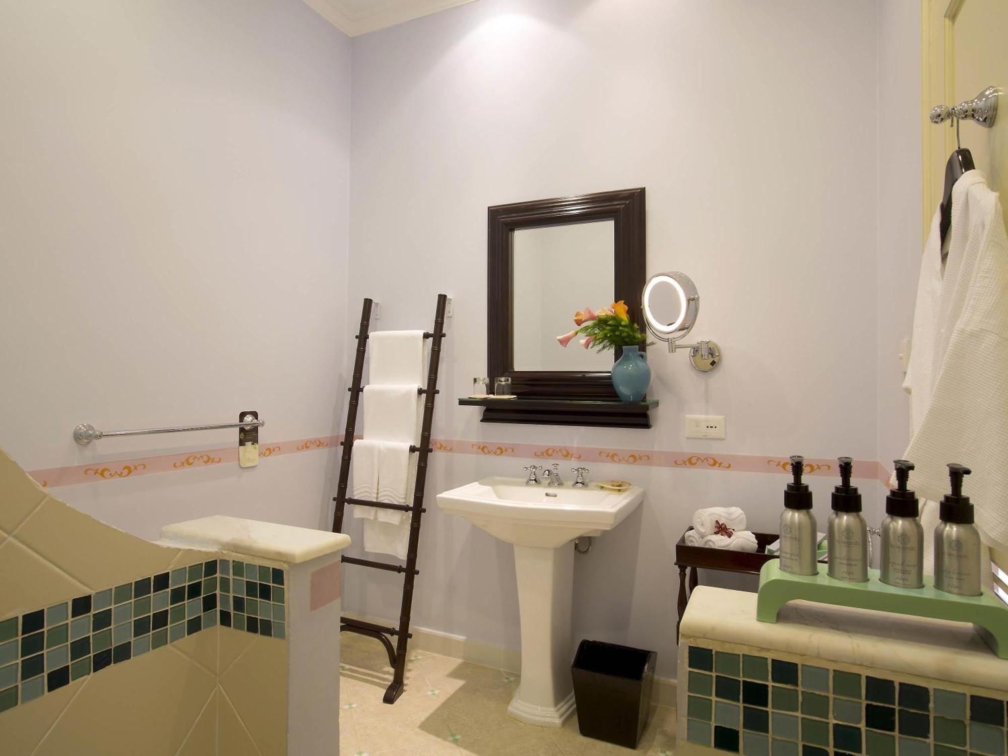 Premier Deluxe Double or Twin Room Garden View