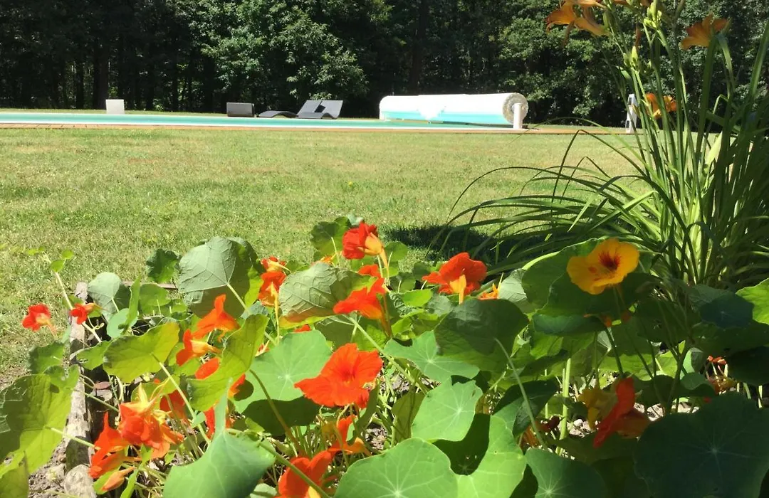 Château des Essards avec piscine et jacuzzi-1