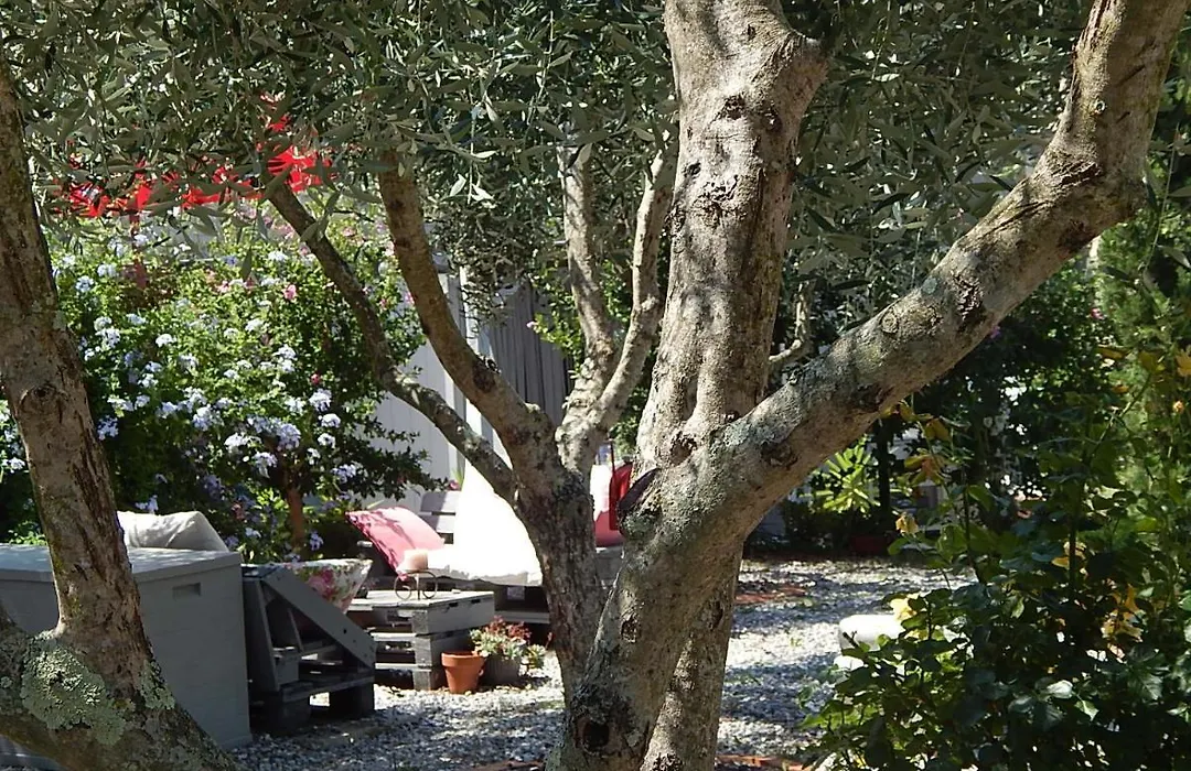 B&B Piè del Castello-1