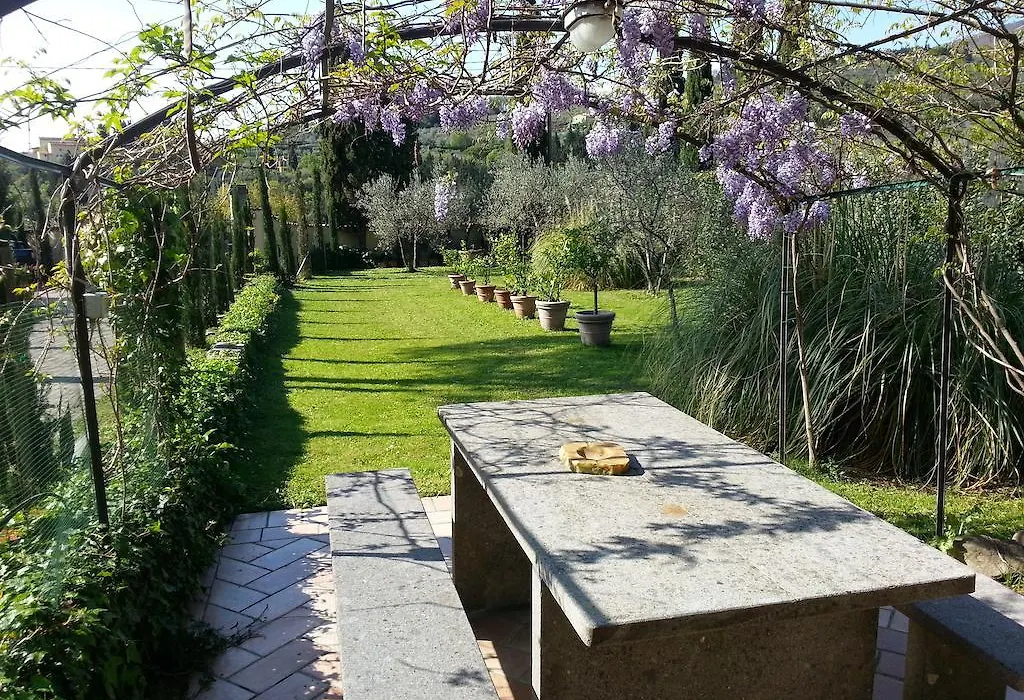 Ulivi Di Castello-1
