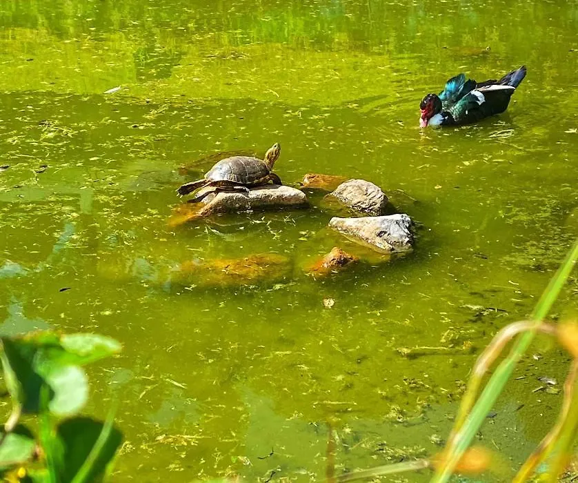 Reserva Da Collina-1
