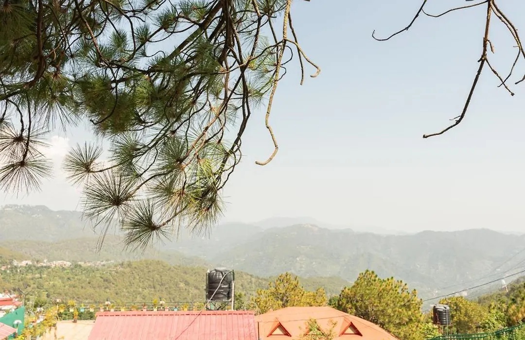 Hotel Kasauli Regency-1