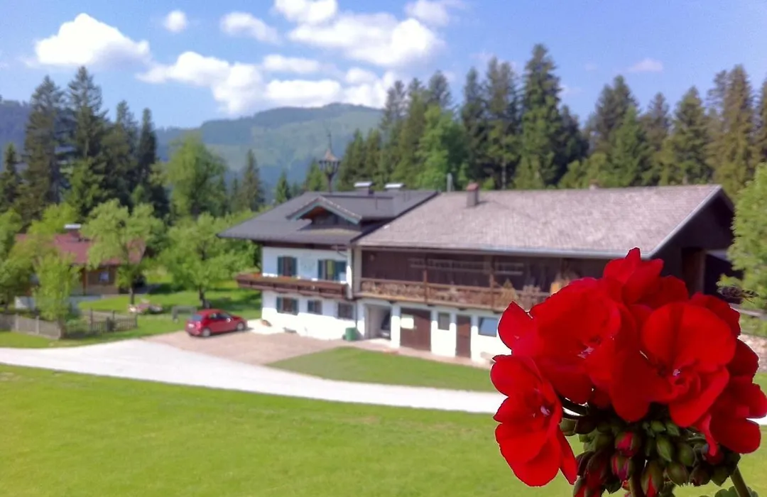 Pension Sunnbichl-1