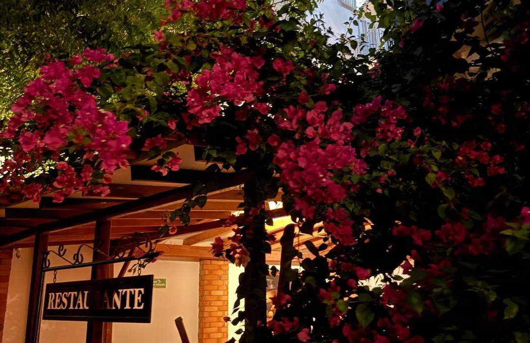 Hotel Jardin Boutique rodadero-1