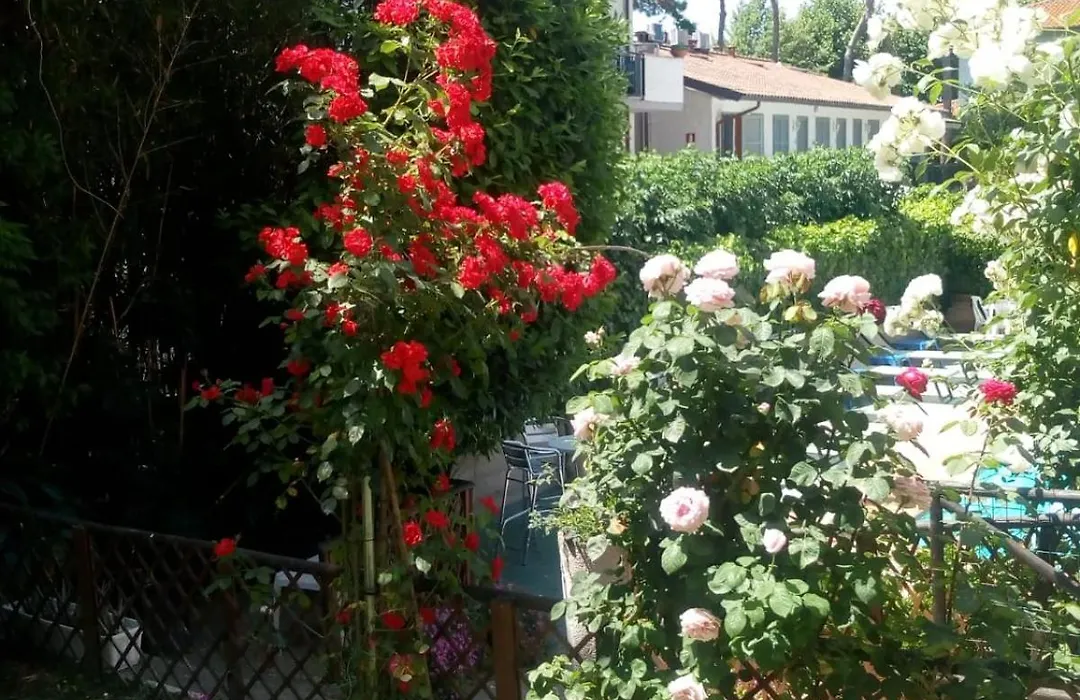 Residence Castiglione-1