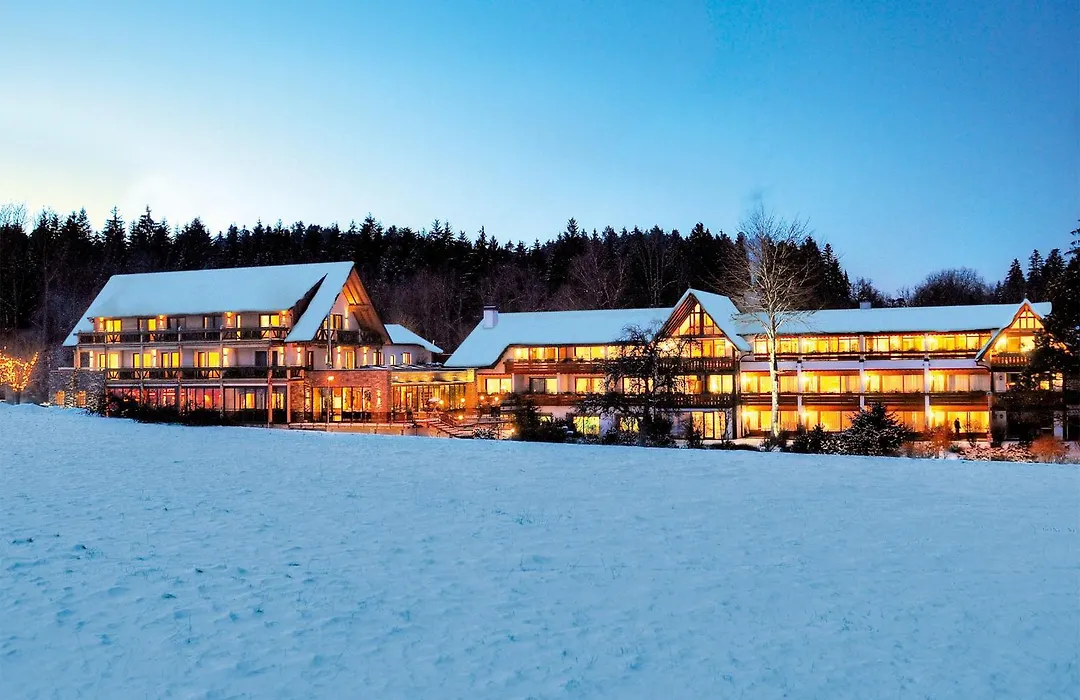 Hotel Gruener Wald-1