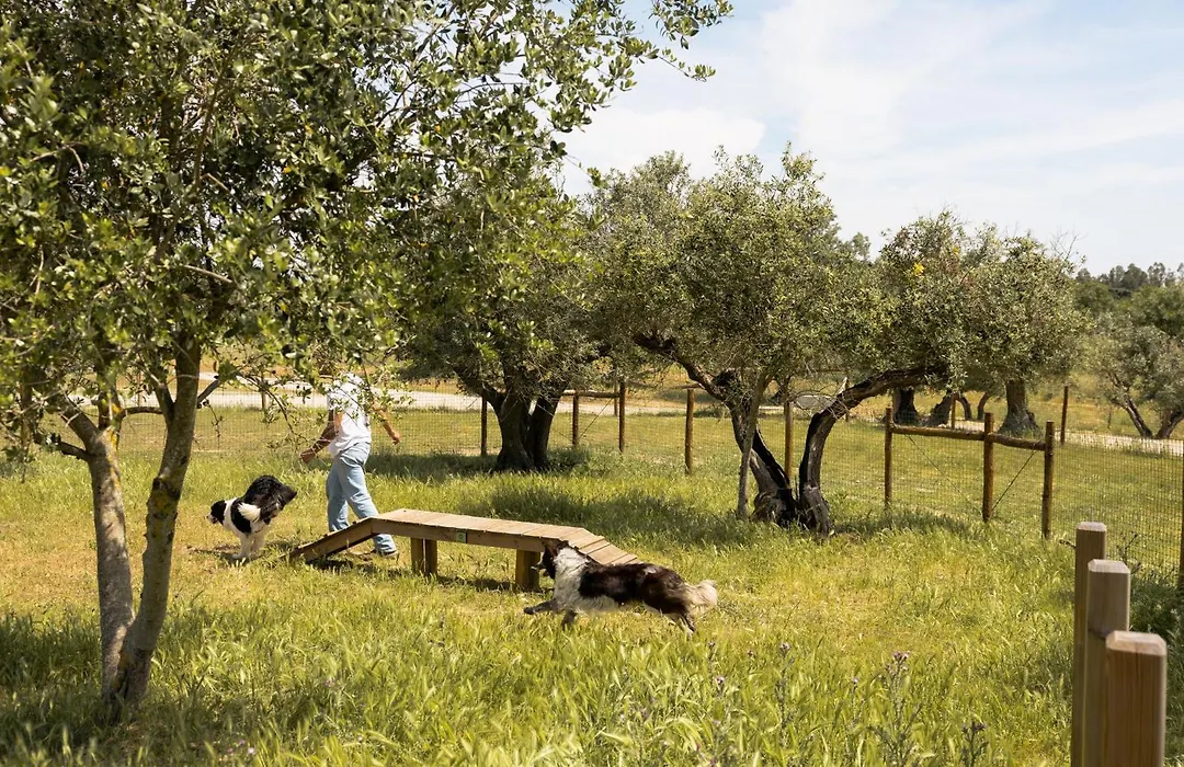Quinta Da Amendoeira - Evora - The Farmhouse-1