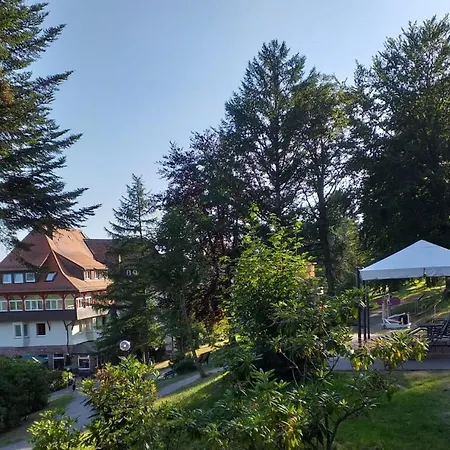 Hotel Teuchelwald-2