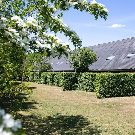 Horsetellerie Rheezerveen-3