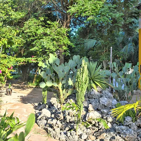 Reef & Beach Resort - Spa Jambiani-2