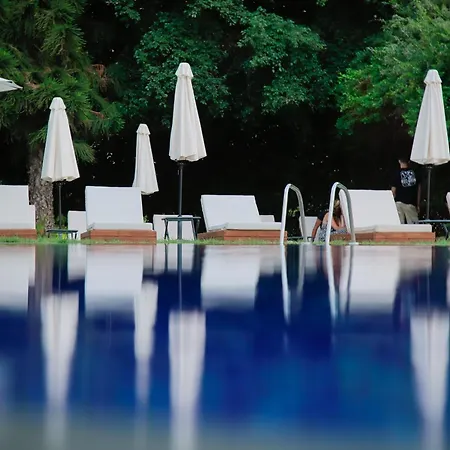 Odysseia Hotel Kapetanios-2