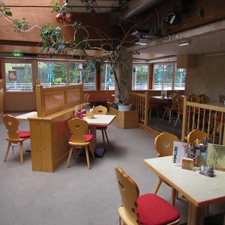 T3 Alpenhotel Garfrescha-2