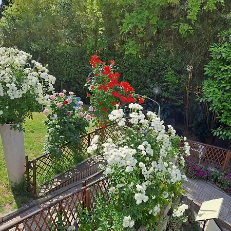 Residence Castiglione-2