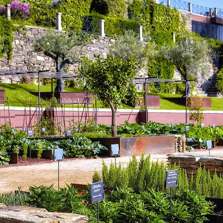 Six Senses Douro Valley-3