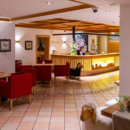 Saltria - Your Alpine Experience-3