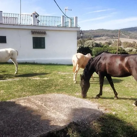 Hotel-Apart CORTIJO LAS PIÑAS-3
