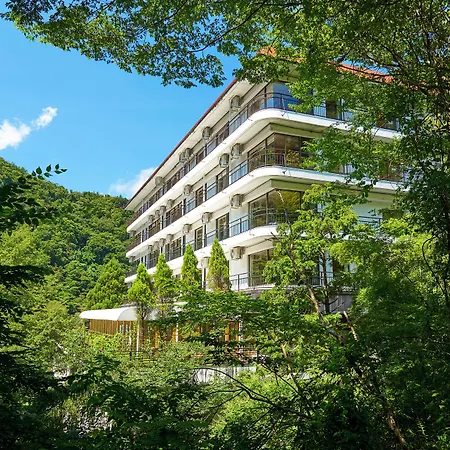 Hakone Yumoto Hotel-2