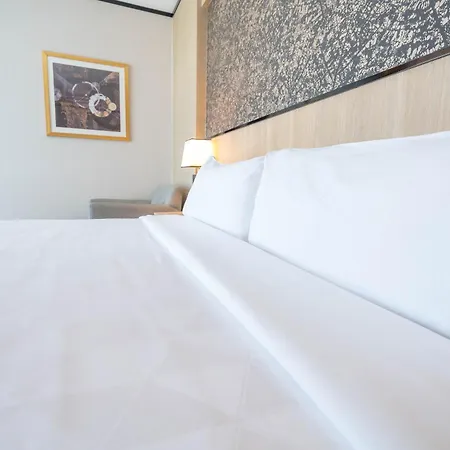Holiday Inn Rosario By Ihg-2
