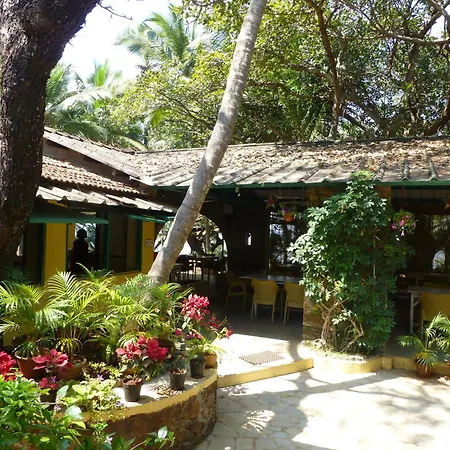 Manoribel-2