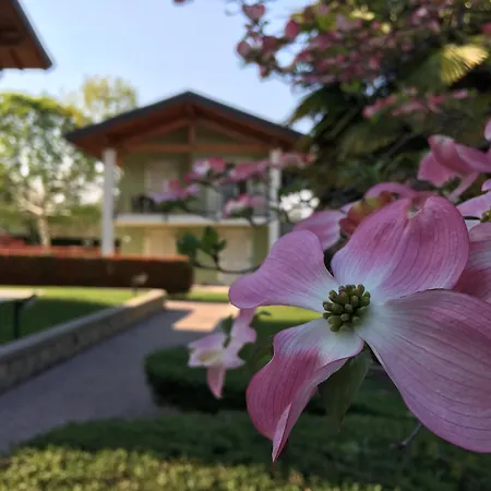 Residence Alice-3