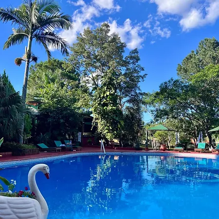 Hotel Carmen-3