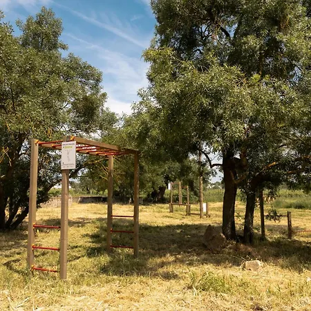Quinta Da Amendoeira - Evora - The Farmhouse-2