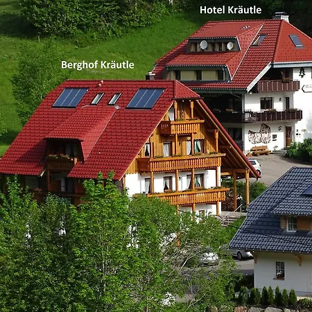 Schwarzwald Aparthotel Kräutle-3