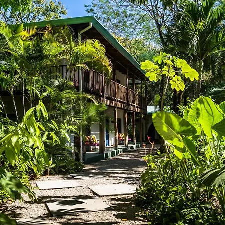 The Sunset Shack-2