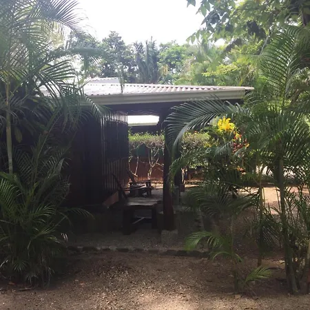 Mal Pais Surf Camp-3