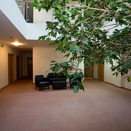 Hotel Kreator-Sport-3