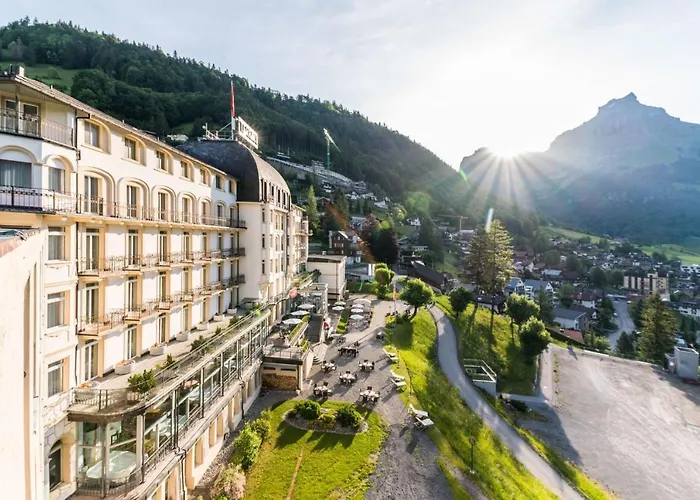 Hôtel accueillant les animaux: Hotel Terrace