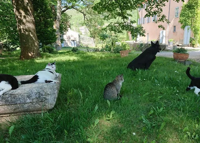 Hôtel accueillant les animaux: Château de la Cazette