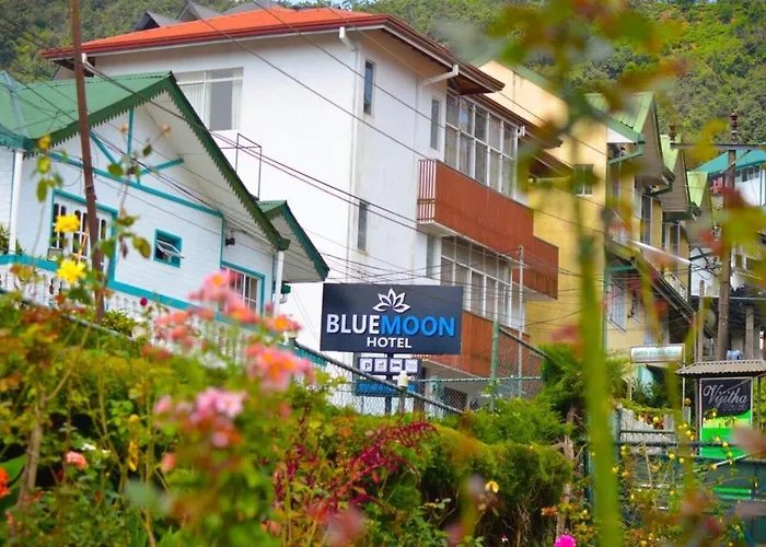 Blue Moon Hotel