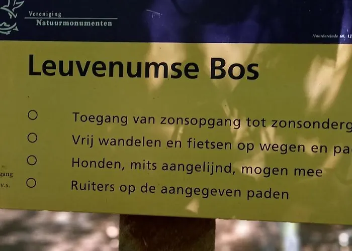 'T Vosje