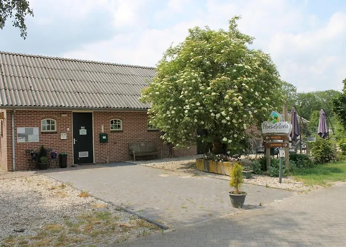 Horsetellerie Rheezerveen