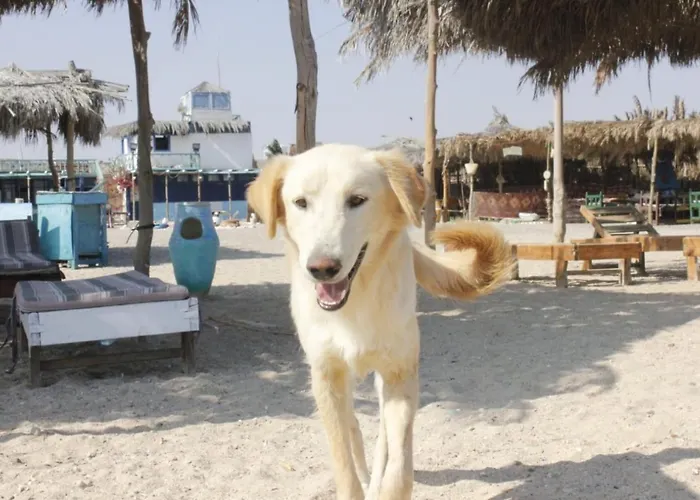 Albergo economico: Deep South Eco-Lodge