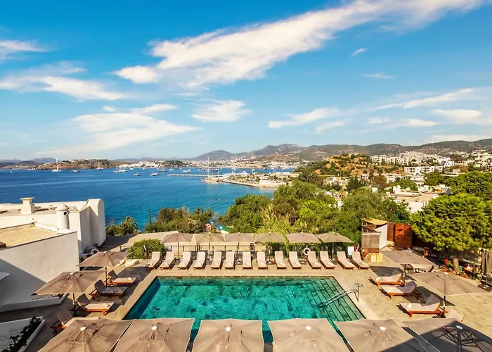 Central hotel: Senses Hotel - Adults Only