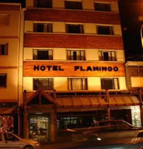 Flamingo