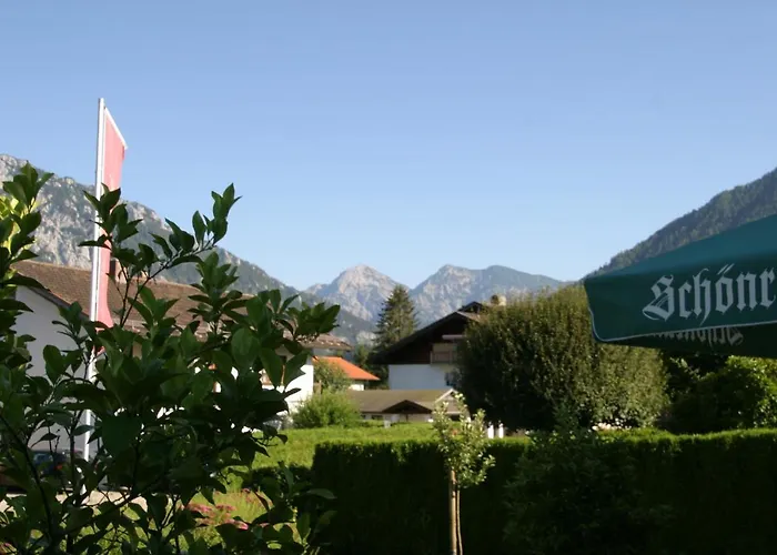 3-Sterne-Hotel: Hotel-Restaurant Bellevue
