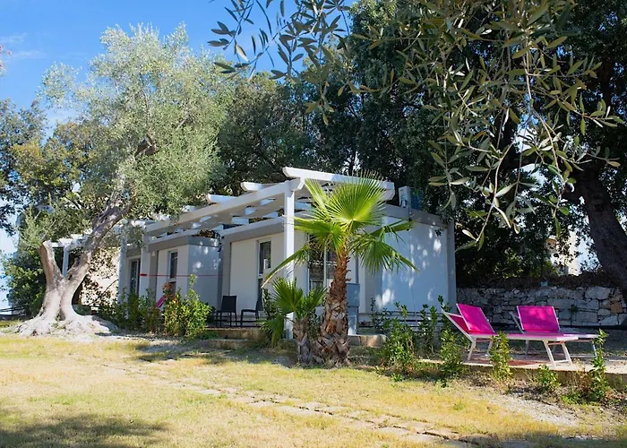 Hotel sulla spiaggia: Frontemare Hotel Village&Ristorante